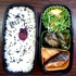 ２０１２０９２４ K3340251.jpg